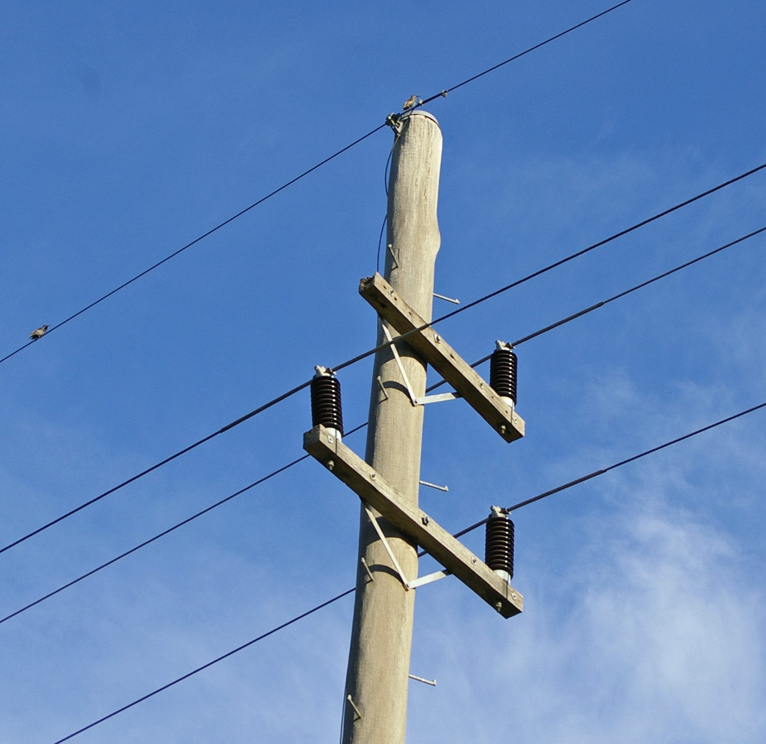 Truck Crashes Into Power Pole In Lloydminster