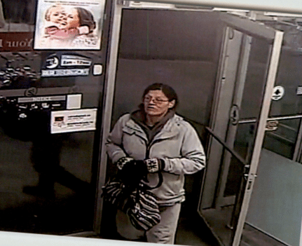Battlefords RCMP looking for theft suspect