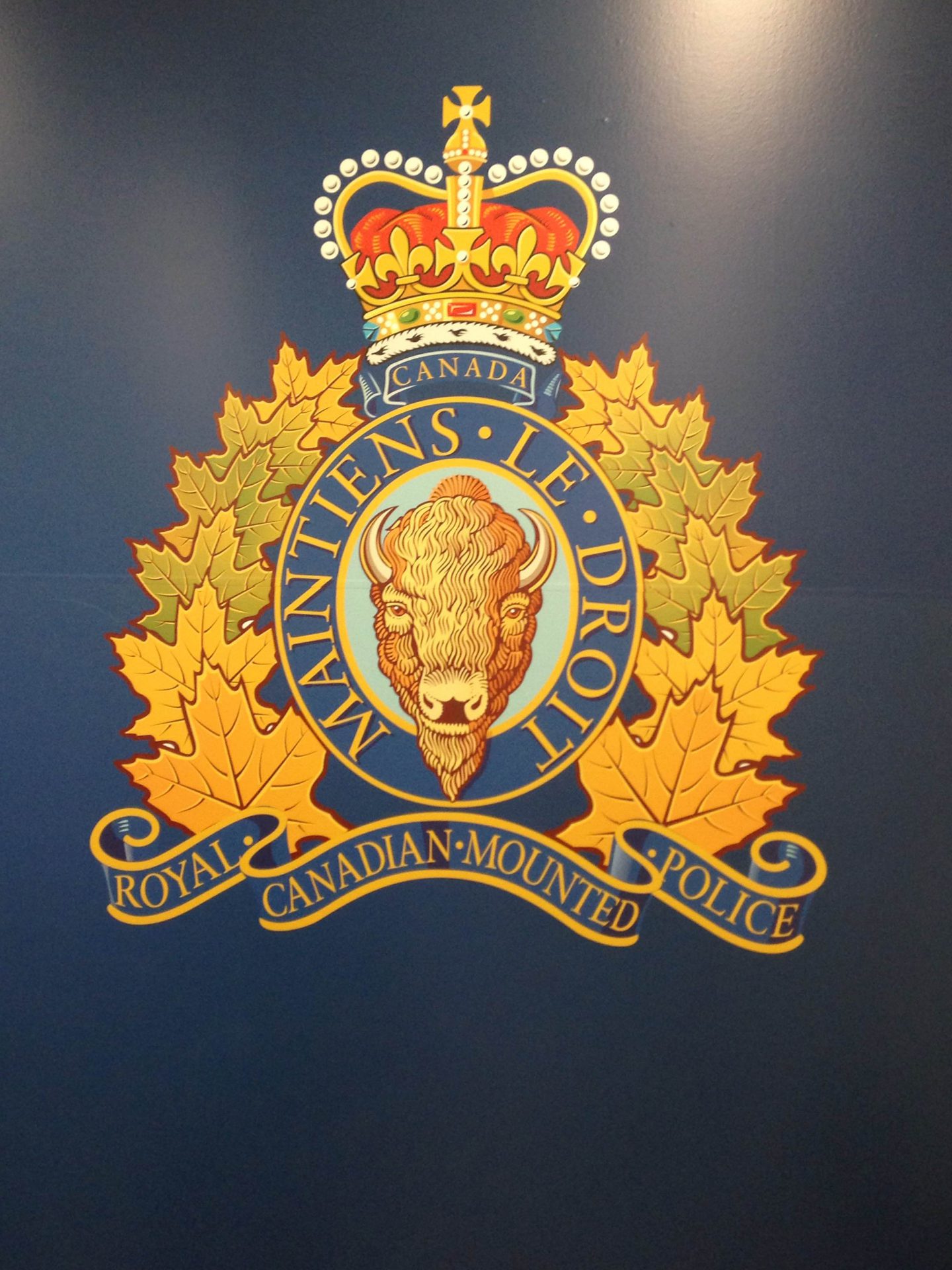 Elk Point RCMP arrest wanted male at Frog Lake residence