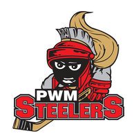 PWM Steelers to find out fate of the team this week