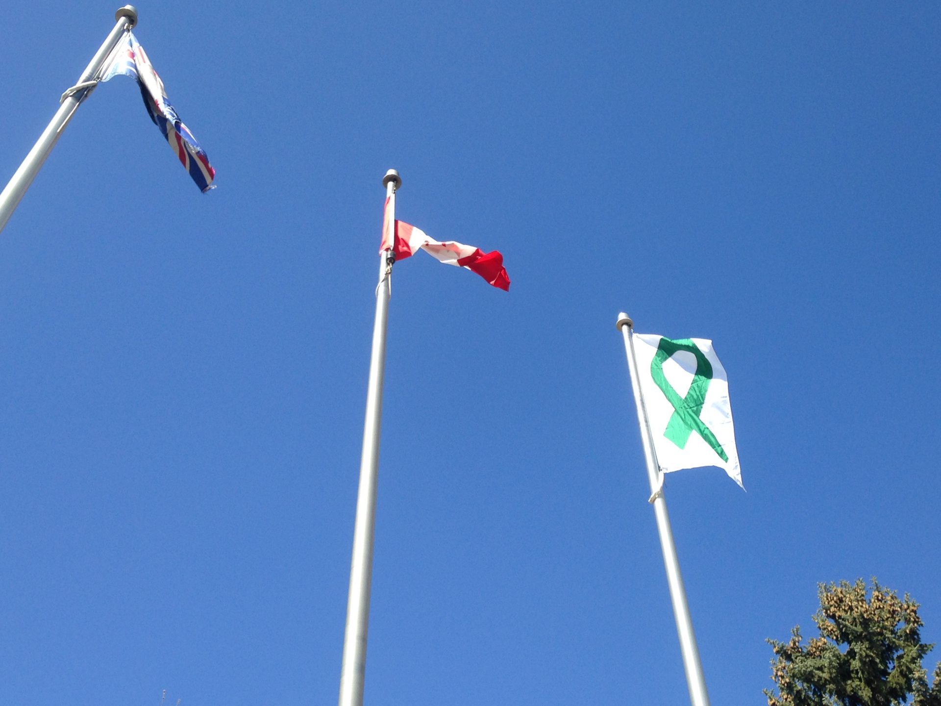 Organ and tissue donation awareness week in Lloydminster