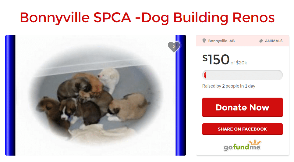 Bonnyville SPCA fundraising for dog shelter