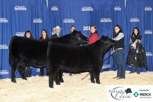 1st Lady Futurity - Twisted Sisters - Meghan Hoffman. Photo courtesy of ShowChampions