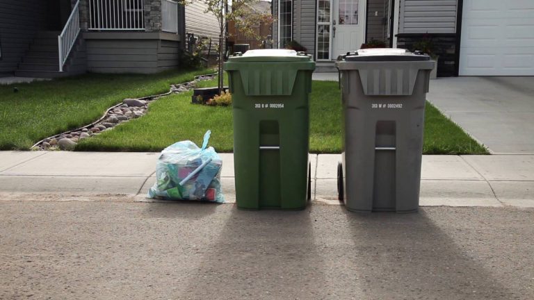 City reminding community of green bin collections