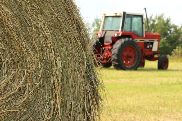 Harvest continues to slow down due to weather