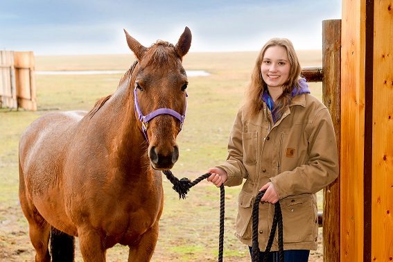 Applications open for Saskatchewan ag student scholarships