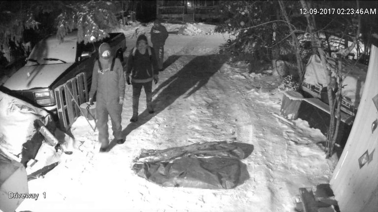 RCMP looking to identify theft, trespassing suspects