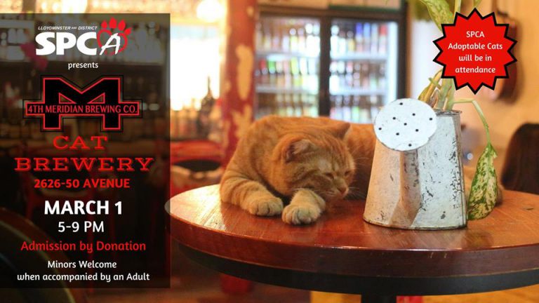 Lloydminster SPCA putting on a Cat Brewery