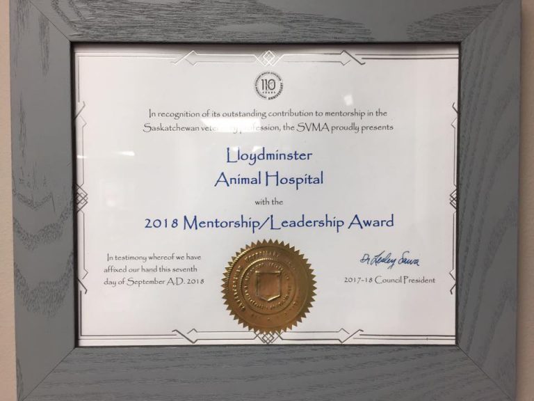Lloydminster Animal Hospital awarded for their mentorship