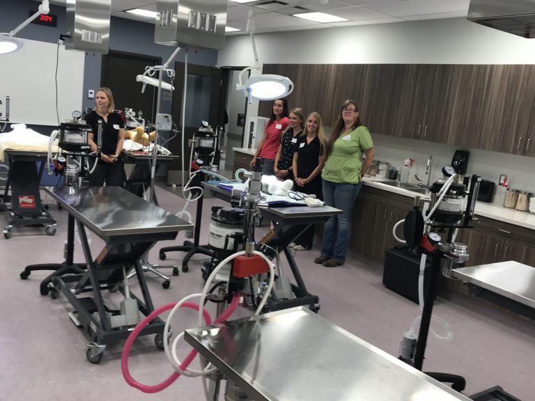 New Animal Clinic to give students better opportunities to succeed