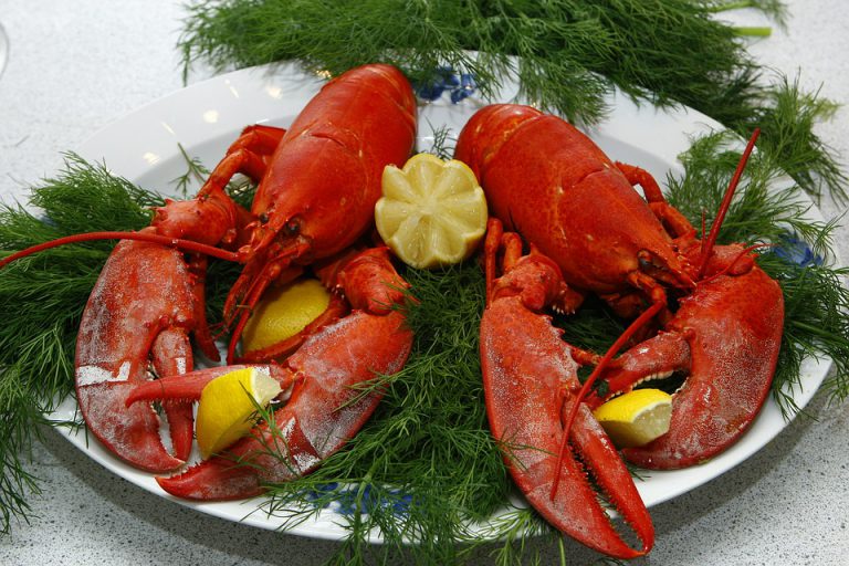 Lobsterfest 44 at Lloyd Ex Saturday
