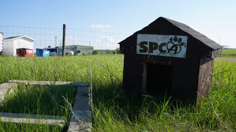 SPCA thankful for community support after pet food theft