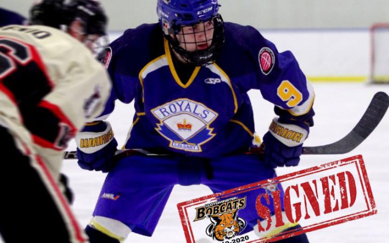 Bobcats continue to retool adding Svenson