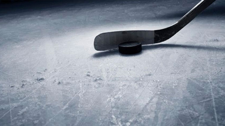 Local schools benefit from 6th annual Battle of the Badges