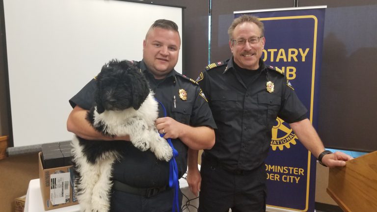 Therapy dog in training joins Lloydminster Rescue Squad