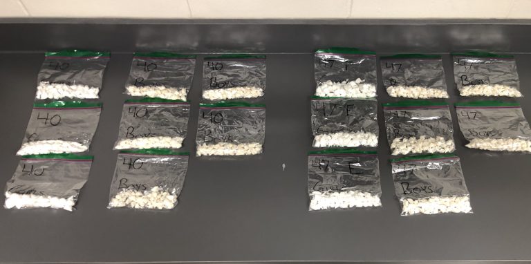 Routine traffic stop leads to cocaine bust outside of Maidstone