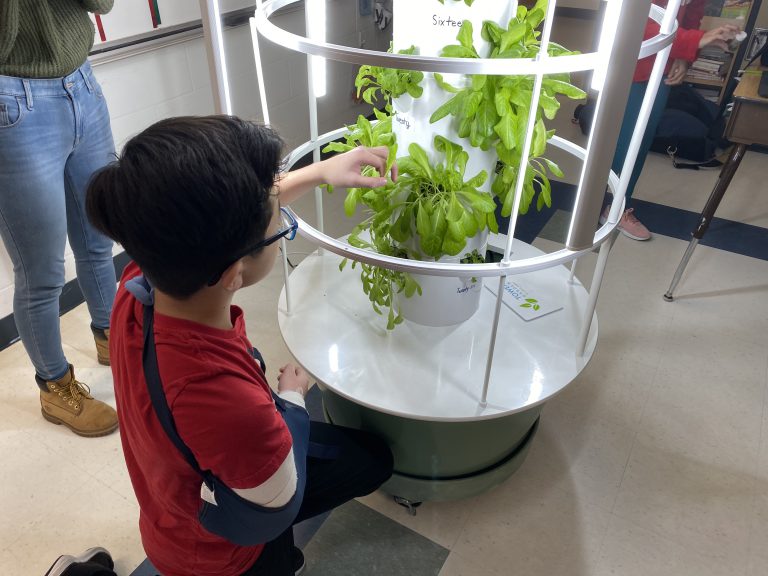 Tower Garden is providing a hands-on experience for local students