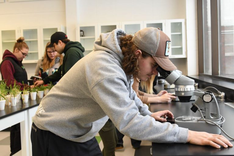 Lakeland College receives upgrades to Vermilion labs