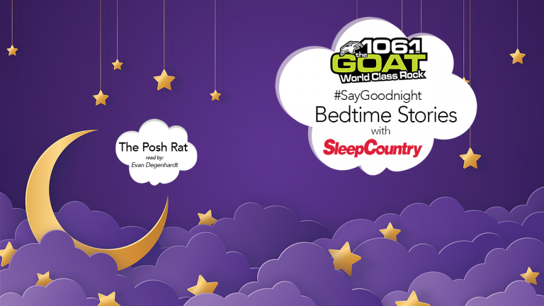 Bedtime Story #1: The Posh Rat