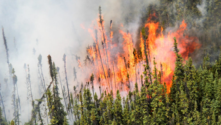 Wildfire season starts in Alberta