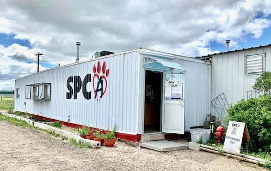 Local SPCA inks fundraiser campaign for our furry friends