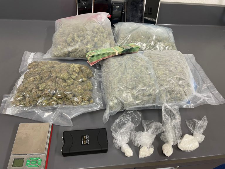 Traffic stop near Maidstone results in drug bust and arrests