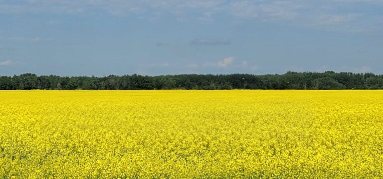 Lloyd area farmers throw support behind Dutch fertilizer protests