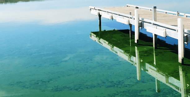 Saskatchewan, Alberta health agencies caution over blue-green algae