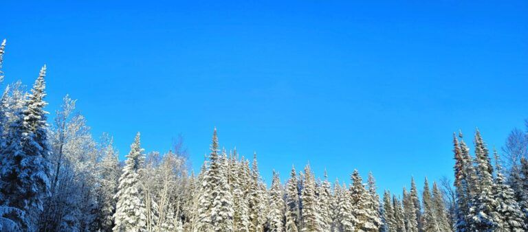 Extreme cold warnings issued