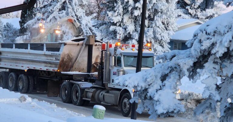 Parking bans in yellow and blue zones for residential snow removal