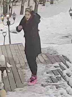 Police seek two more suspects in break and enter south of Lloydminster