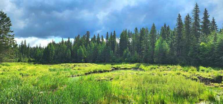 Over $12 million in federal funds for 90 First Nations Indigenous Guardians projects