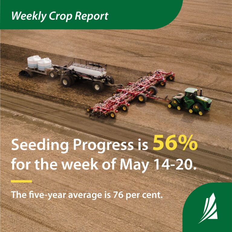 Area producers welcome rain, continue progress with seeding
