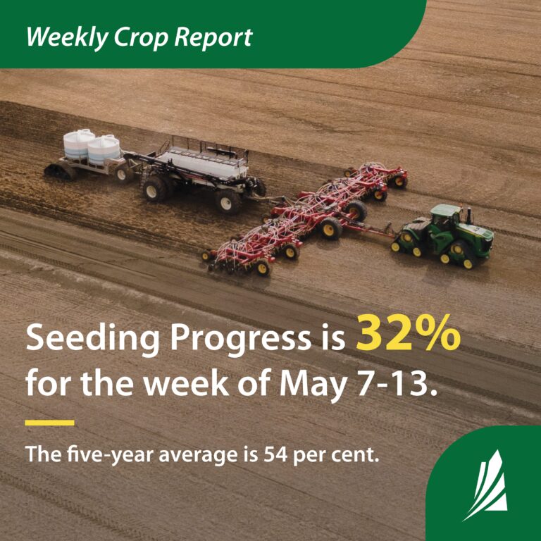 Saskatchewan producers have 32 per cent of the crop seeded
