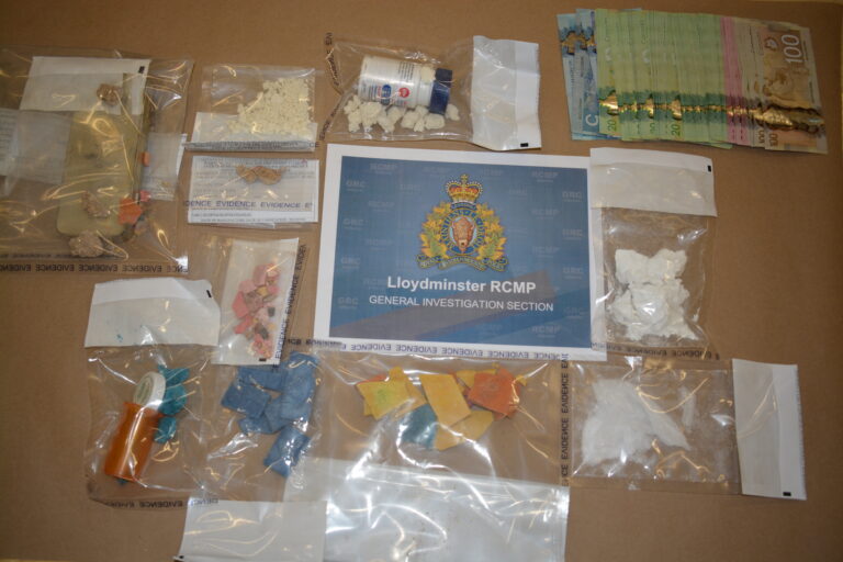 Local Search Warrant Leads to Drug Bust