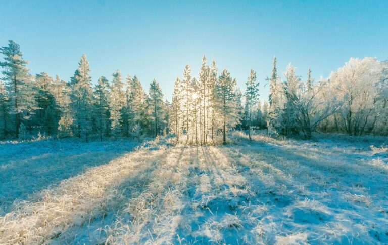 Extreme Cold Warning issued for Lloydminster