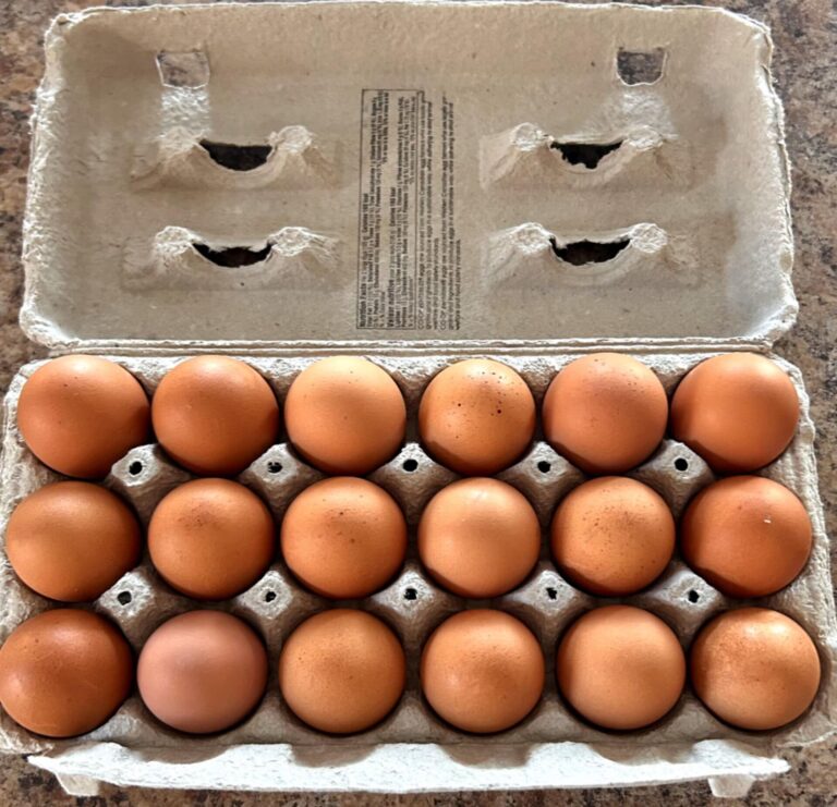 Farm fresh eggs safe from food safety rule proposals