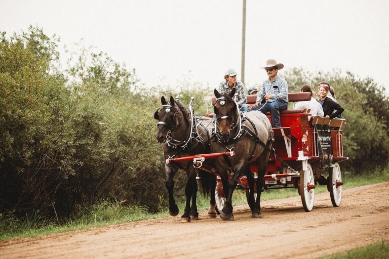 Open Farm Days in Alberta, Saskatchewan in August