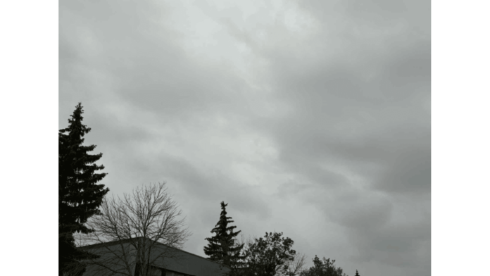 Dark grey clouds covering the sky above the City of Lloydminster tree line.