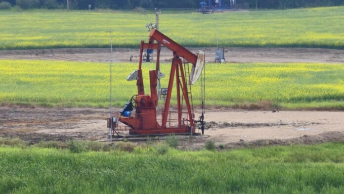 Oil pump jack in field.