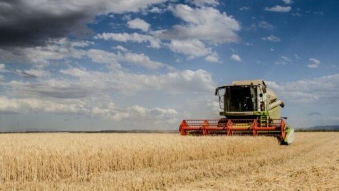 Harvesting crops. | Photo credit: Pixabay.