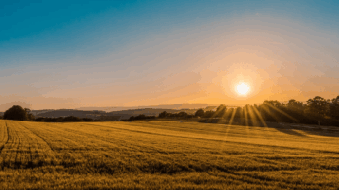 Sunrise | Photo credit: Federico Respini for unsplash.com.