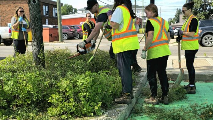 City crews pruning hedges downtown Lloydminster. | Photo: 106.1 The Goat/Vista Radio.